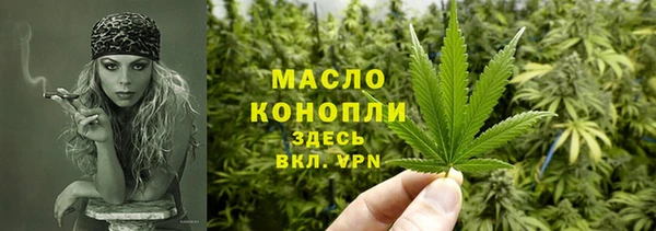 МДПВ Аша