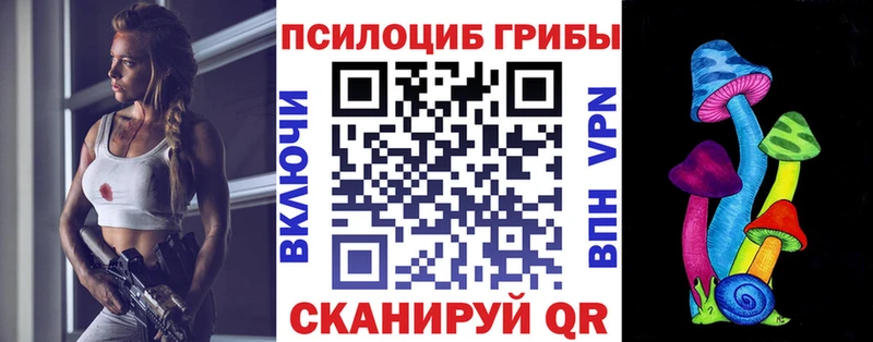 Галлюциногенные грибы Psilocybine cubensis  mega онион  Кострома 